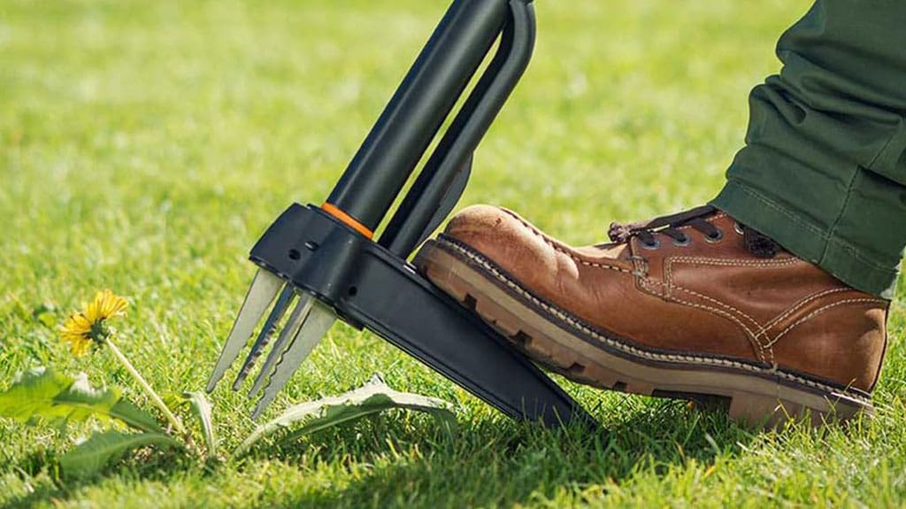 7 Great Lawn Care Tools for a Manicured Lawn | Home Patio Lawn